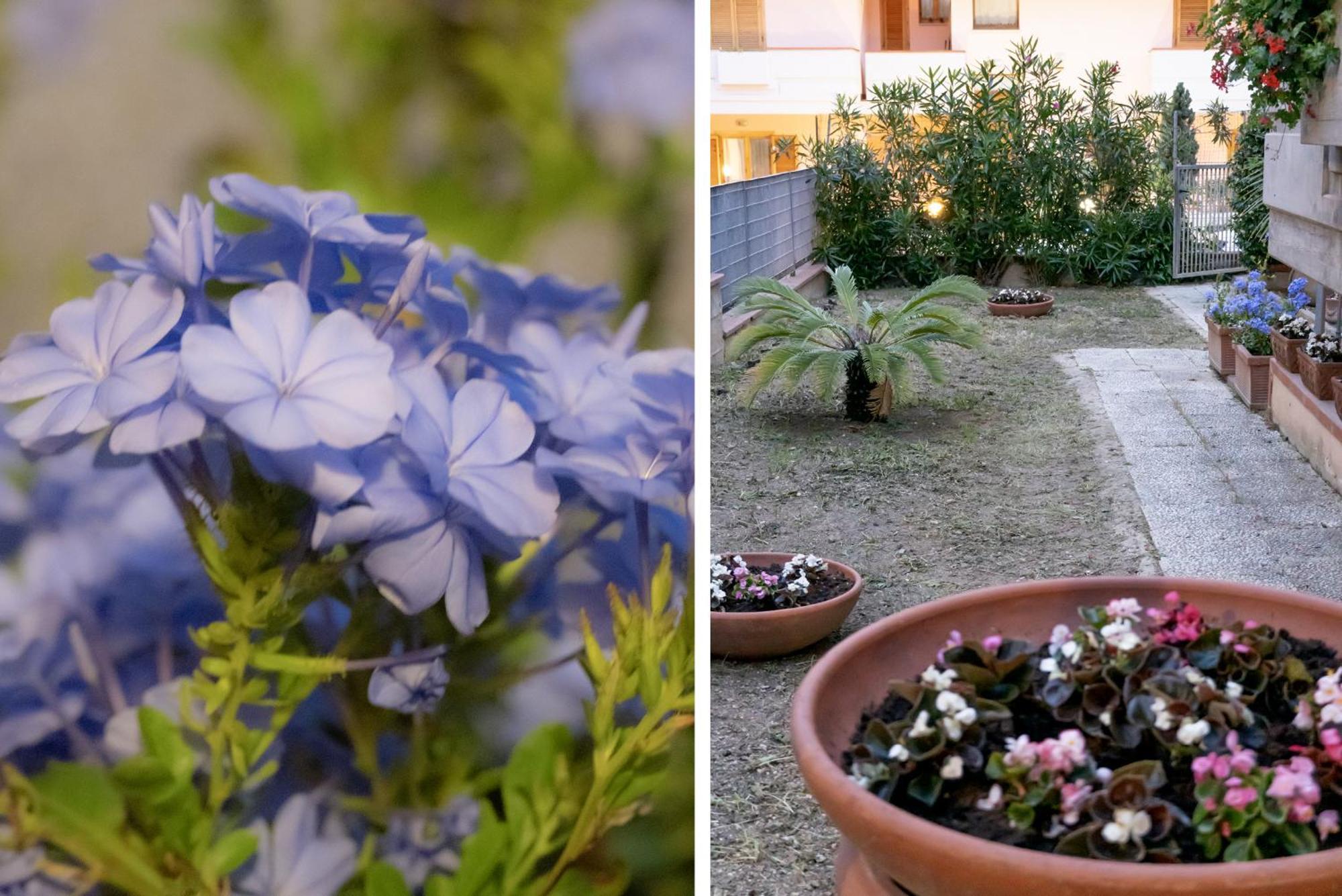 시비타노바 마르셰 Il Giardino 아파트 외부 사진